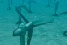 Turbin Pasang Surut Sumber Energi Terbarukan Dari Laut