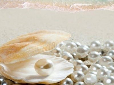 Mutiara Laut Suatu Keindahan Dari Dasar Samudra