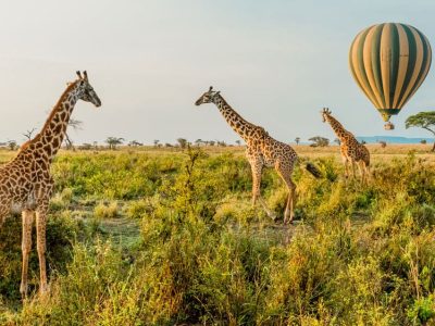 Tanzania Afrika