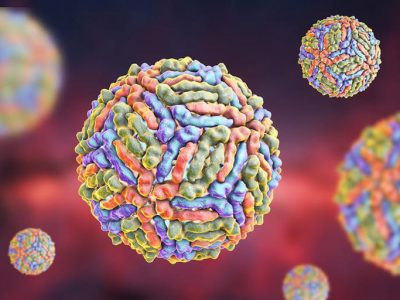 Virus HMPV