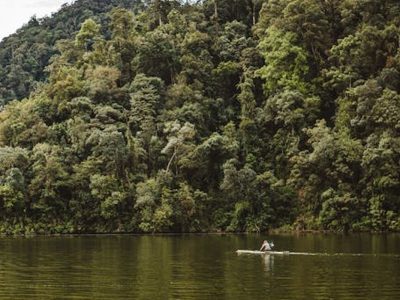 Defisit Rp 3.500 T Ancam Manfaat Hutan Abadi