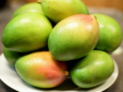 4 Mangga Jutaan: Investasi Atau Sekadar Buah?