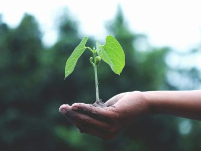 Nasionalisasi Ekoteologi: Aksi Pendidikan Masa Depan