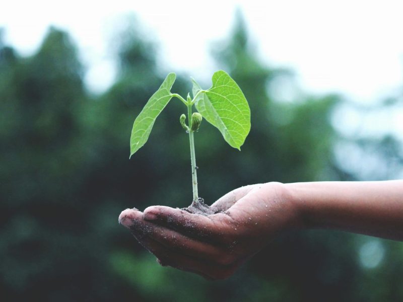 Nasionalisasi Ekoteologi: Aksi Pendidikan Masa Depan
