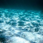 Buru Mineral, AS Permudah Izin Tambang Di Dasar Laut