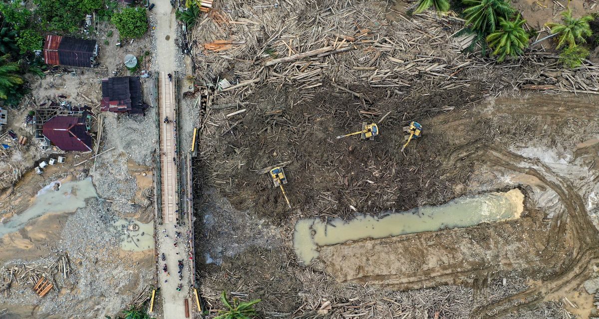 KLH Lawan Balik: 6 Perusahaan Di Sumut Di Gugat Perdata