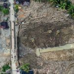 KLH Lawan Balik: 6 Perusahaan Di Sumut Di Gugat Perdata