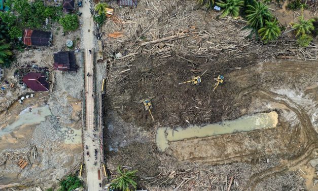 KLH Lawan Balik: 6 Perusahaan Di Sumut Di Gugat Perdata