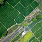 Ciri Utama Tanah Subur Yang Wajib Di Pahami