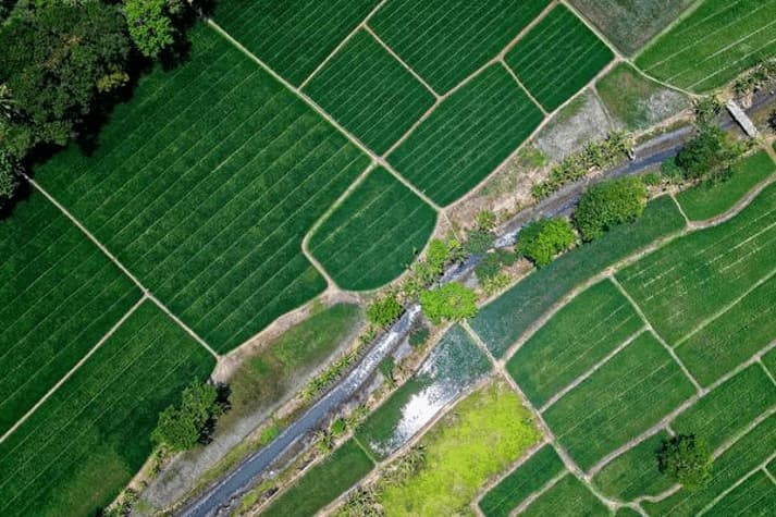 Ciri Utama Tanah Subur Yang Wajib Di Pahami