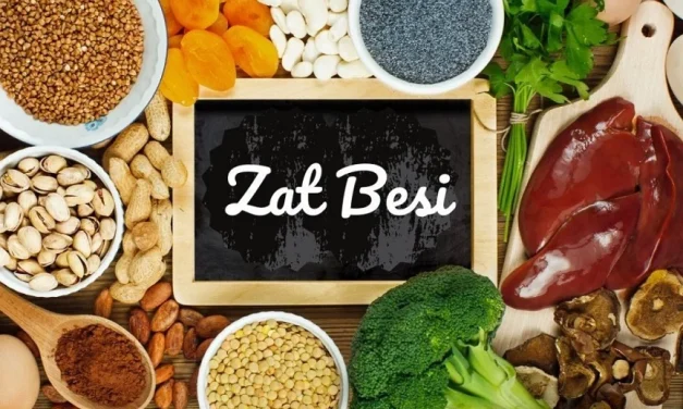 Awas Anemia! Pastikan Anak Cukup Asupan Zat Besi