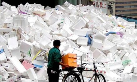 Plastik Fleksibel: Udah Mahal, Jadi Sampah Abadi Pula!