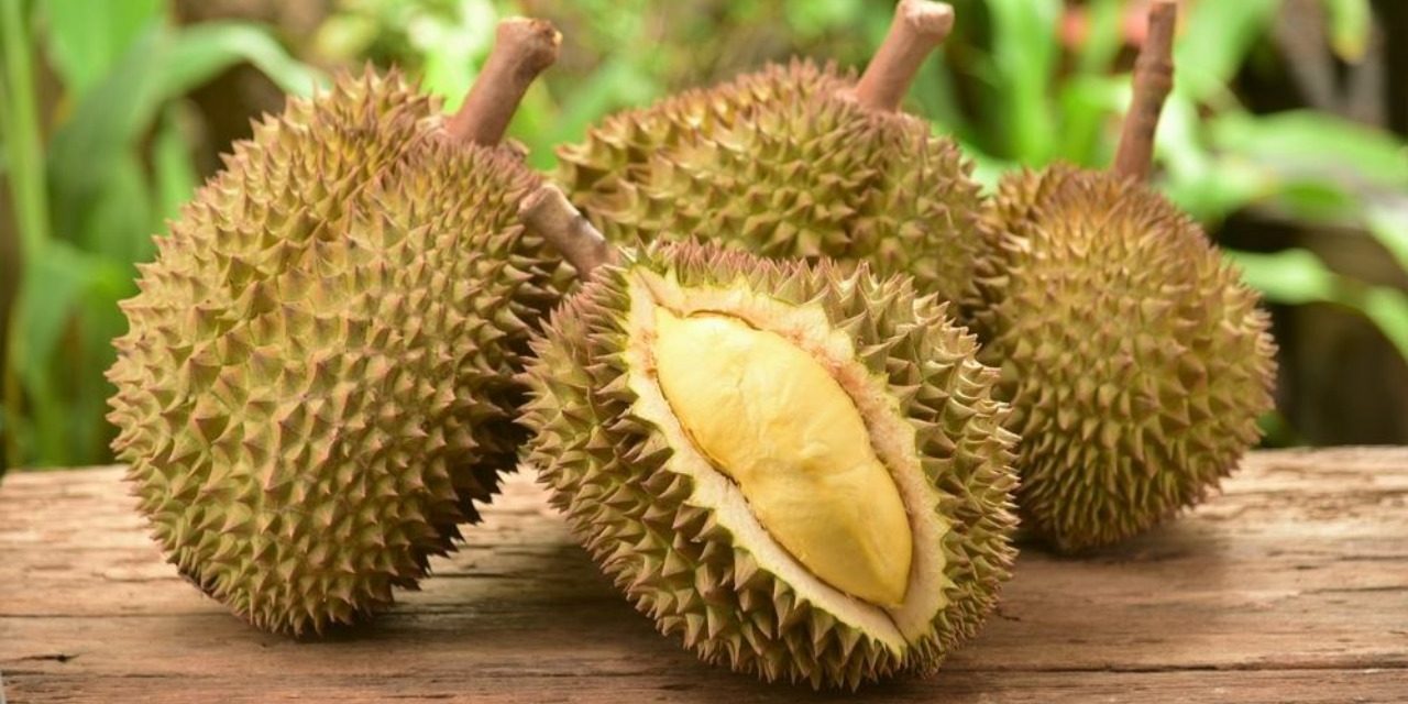 Rekomendasi Jenis Durian Indonesia Paling Unik