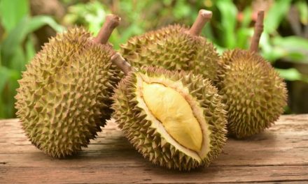 Rekomendasi Jenis Durian Indonesia Paling Unik