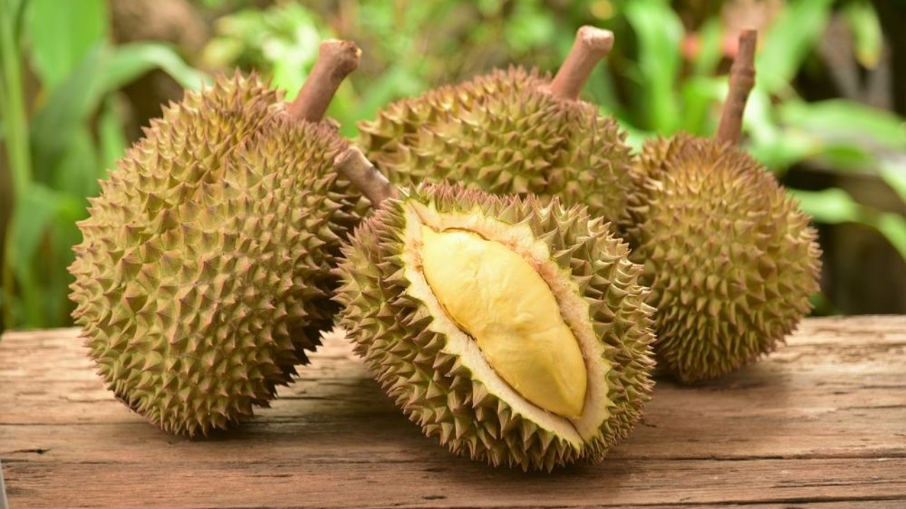 Rekomendasi Jenis Durian Indonesia Paling Unik