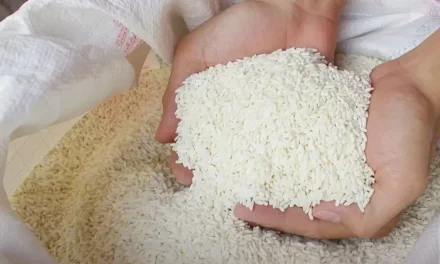 Sering Ketipu? Ini Tips Sederhana Mengenali Beras Berpemutih