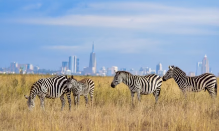 Cara Taman Nasional Kenya Bertahan