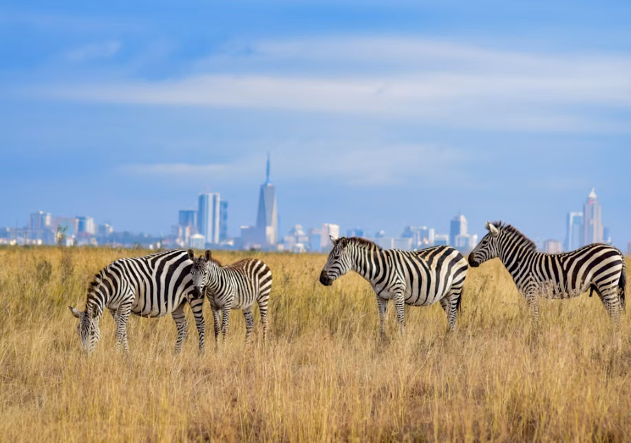 Cara Taman Nasional Kenya Bertahan