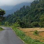Tip Selamat Melibas Jalan Berkelok