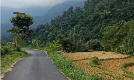 Tip Selamat Melibas Jalan Berkelok