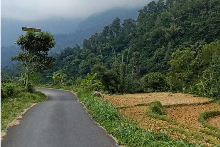 Tip Selamat Melibas Jalan Berkelok